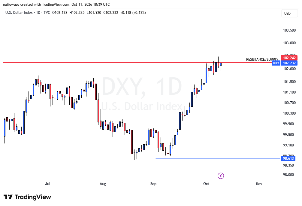 US Dollar Index (DXY) daily chart showing price at resistance near 102.24 with support at 98.613
